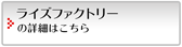 ライズファクトリーの詳細はこちら